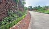 Ullal: ಮುಡಿಪು-ಮೂಳೂರು ರಸ್ತೆ ತ್ಯಾಜ್ಯಮುಕ್ತ