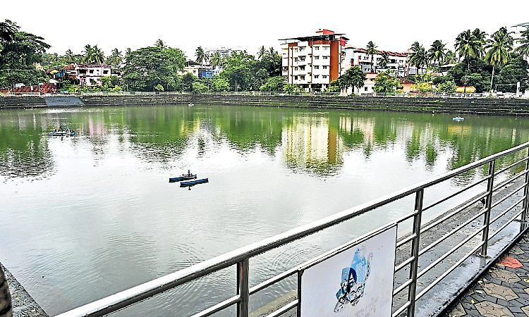 Mangaluru: ಒಳಚರಂಡಿ ವ್ಯವಸ್ಥೆ ಕೊರತೆ, ಕೆರೆಗಳು ಕಲುಷಿತ