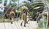 J&K Police searches over 20 locations in Sopore in Jamaat-e-Islami UAPA probe