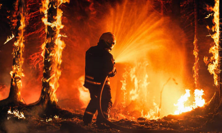 Wildfire in Indonesian national park grows