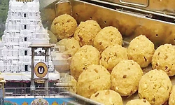 ಭಕ್ತರಿಗೆ ಇನ್ನು ಚಲಿಸುವ ಮೇಜಿನಲ್ಲಿ ಬರಲಿದೆ ತಿರುಪತಿ ಪ್ರಸಾದ!