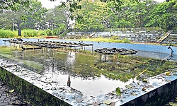 ಕದ್ರಿಯ ಕಾರಂಜಿ ಮತ್ತೆ ಕುಣಿಯುವುದೇ?!
