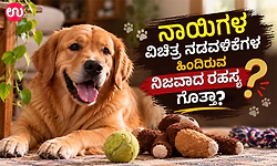 ನಾಯಿಗಳ ವಿಚಿತ್ರ ನಡವಳಿಕೆಗಳ ಹಿಂದಿರುವ ನಿಜವಾದ ರಹಸ್ಯ ಗೊತ್ತಾ...