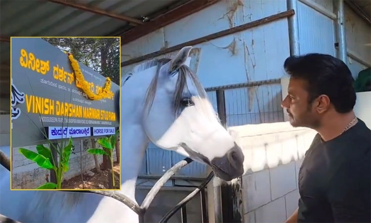 Signboard at Darshan’s farm sparks rumours of horse sale