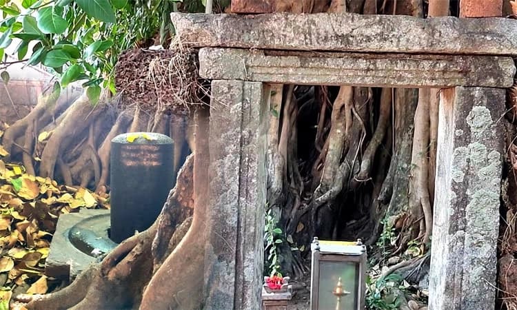 Basrur: ಅಷ್ಟಮಂಗಲ ಪ್ರಶ್ನೆ- ತುಳುವೇಶ್ವರನ ಜತೆ ಮುಳಲದೇವಿ, ತುಳುವೇಶ್ವರಿ ದೇವಾಲಯ ಪತ್ತೆ