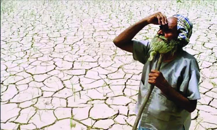 Lack of Rain: ರಾಜ್ಯದಲ್ಲಿ ಕೈ ಕೊಟ್ಟ ಹಿಂಗಾರು: ಶೇ.52 ಮಳೆ ಕೊರತೆ!