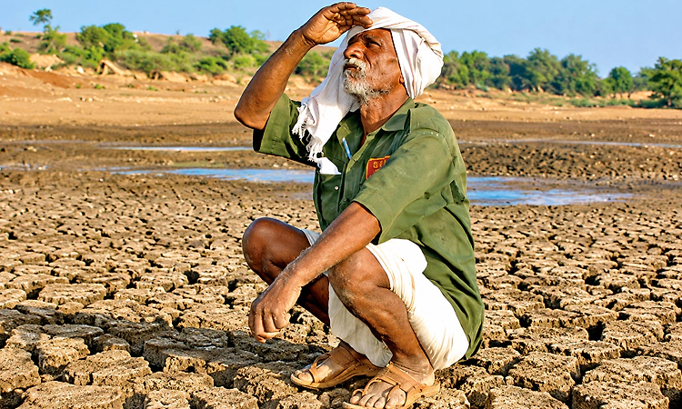 ಮುಂಗಾರು ಆಯ್ತು ಈಗ ಹಿಂಗಾರಿಗೂ ಬರಗಾಲ!