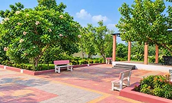 ನಾವಲಗಿ ರುದ್ರಭೂಮಿಯಲ್ಲಿ ಅರಳಿದ ಉದ್ಯಾನವನದ ಸೊಬಗು