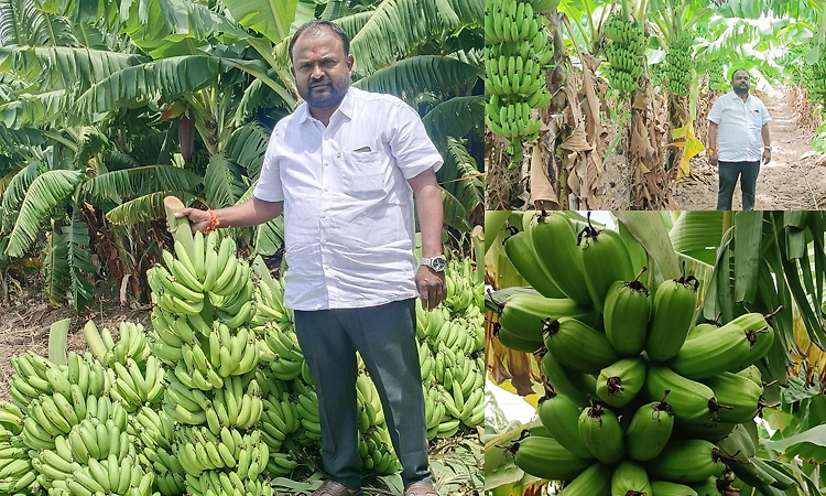ಬರದಲ್ಲೂ ಬಾಳೆಯಿಂದ ಬಾಳು ಬೆಳಗಿಸಿಕೊಂಡ ರೈತ