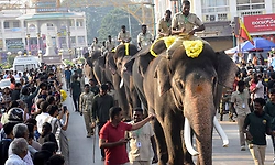 ಇನ್ನೆರಡು ದಿನದಲ್ಲಿ ಅಂಬಾರಿ ಹೊರುವ ಆನೆ ಫೈನಲ್‌: ಡಿಸಿಎಫ್‌