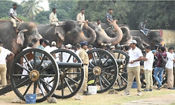Mysore Dasara: ವಿಶ್ವವಿಖ್ಯಾತ ದಸರಾಕ್ಕೆ ಅರಮನೆ ನಗರಿ ಮೈಸೂರು ಸಜ್ಜು