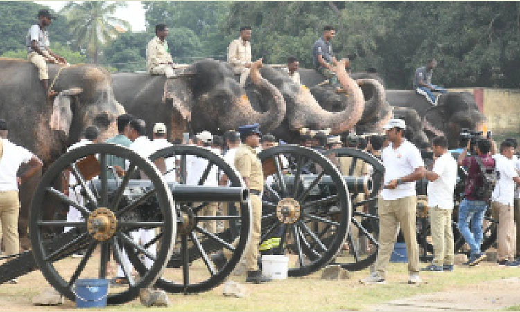 Mysore Dasara: ವಿಶ್ವವಿಖ್ಯಾತ ದಸರಾಕ್ಕೆ ಅರಮನೆ ನಗರಿ ಮೈಸೂರು ಸಜ್ಜು