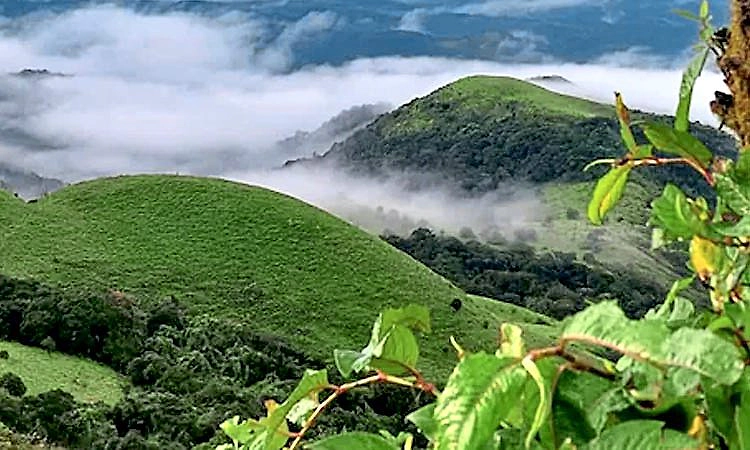 Madikeri: ಮಡಿಕೇರಿ ಯಾನ ಅನುಭವ ಕಥನ