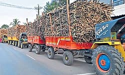 Chikodi: ಕಬ್ಬಿಗೆ ನಿಗದಿಗಿಂತ ಹೆಚ್ಚುವರಿ ದರ ಘೋಷಣೆ!