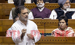 Rahul behaving like 'Pakistan, China', Mamata should be in jail: Giriraj Singh