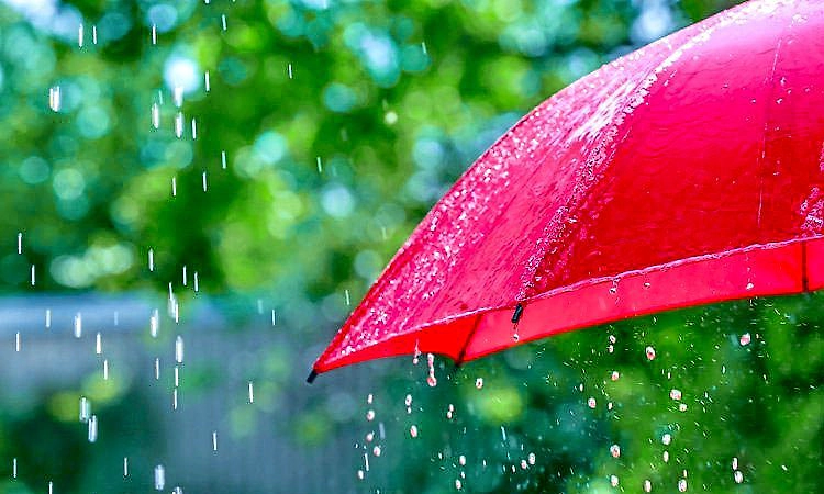 Mangaluru; ಕರಾವಳಿ: ಹಿಂಗಾರು ಮಳೆ ವಾಡಿಕೆ ಗುರಿ ಸನಿಹ