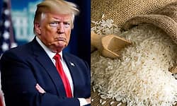 ಭಾರತದ ಮೇಲೆ ಟ್ರಂಪ್‌ ಮತ್ತೆ ಸುಂಕಾಸ್ತ್ರ?: ಅಕ್ಕಿ ಆಮದಿಗೆ ಕಿಡಿ