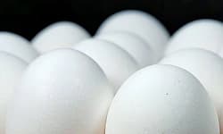 Egg: ಮೊಟ್ಟೆ ದರ ಏರಿಕೆ: ಬಿಸಿಯೂಟದ ಜವಾಬ್ದಾರಿ ಹೊತ್ತುಕೊಂಡಿರುವ ಶಿಕ್ಷಕರ ಜೇಬಿಗೆ ಕತ್ತರಿ!