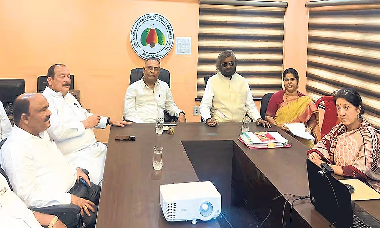 Mangaluru to host state-level cashew fair in February