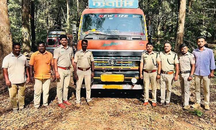 Uppinangady: ಅಕ್ರಮ ಮರದ ದಿಮ್ಮಿ ವಶ