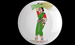 ಜೆಡಿಎಸ್‌ ಚಿಹ್ನೆಗೆ ಶೀಘ್ರ ಹೊಸ ಸ್ಪರ್ಶ: ಸಣ್ಣ ಮಾರ್ಪಾಟಿಗೆ ಸಿದ್ಧತೆ  