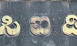 ಬಿಜೆಪಿ ಕಾರ್ಯಕರ್ತೆಯ ವಿವಸ್ತ್ರ ಪ್ರಕರಣ: ಸಿಐಡಿ ತನಿಖೆ ಶುರು 