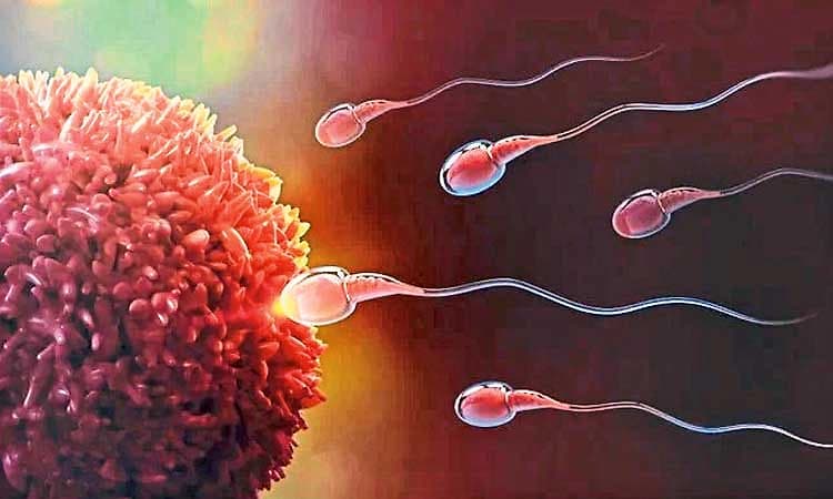 ಮಕ್ಕಳಾಗದಿದ್ದರೆ ಪುರುಷರೂ ಕಾರಣ: ಮತ್ತಷ್ಟು ಸಾಕ್ಷ್ಯ ಒದಗಿಸಿದ ಅಧ್ಯಯನ