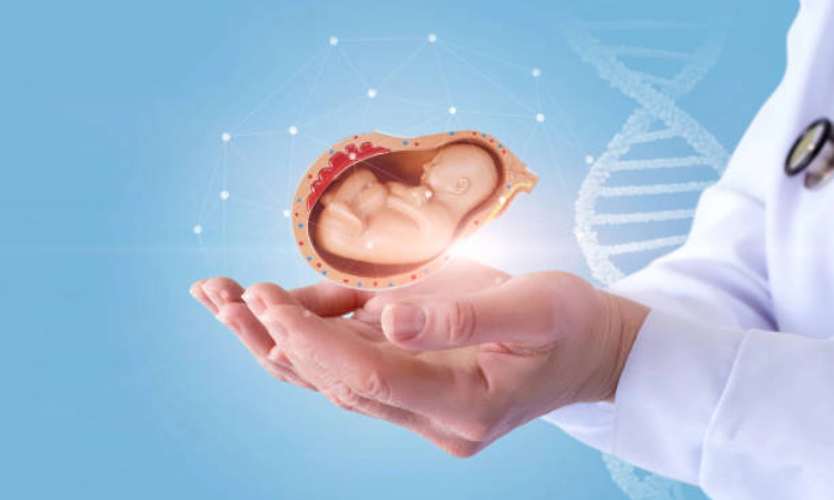 Want a tall, smart child? How IVF tests are selling a dream