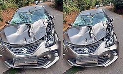 Wild boar jumps onto car, vehicle badly damaged near Heggodu