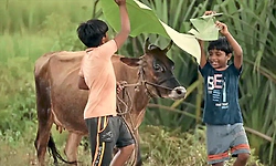 Valavaara: ಮೆಚ್ಚುಗೆಯೊಂದಿಗೆ ವಲವಾರ ನಗು