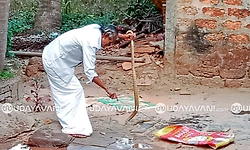 Thekkatte: ಸುಮಾರು 7 ಅಡಿ ಉದ್ದದ ನಾಗರಹಾವಿನ ರಕ್ಷಣೆ