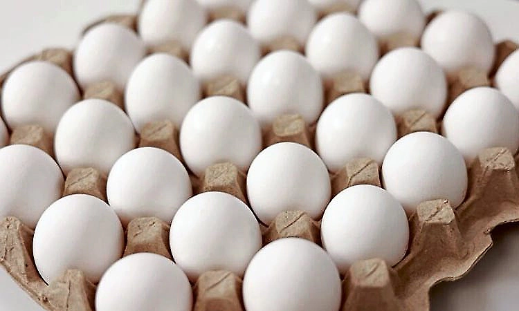 Egg prices fall sharply in Udupi amid Middle East tensions and rising heat