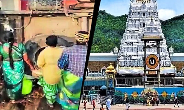 ತಿರುಪತಿಯಲ್ಲಿ ಲಡ್ಡು ಪ್ರಸಾದಕ್ಕೆ ತುಪ್ಪದ ಕೊರತೆಯಿಲ್ಲ TTD ಸ್ಪಷ್ಟನೆ