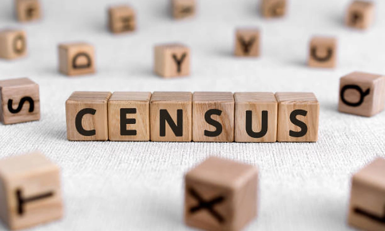 Census 2027: Self-enumeration facility availed by 5.72 lakh households so far in first phase