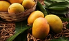 Mango boxes replace trophies at Singapore cultural festival