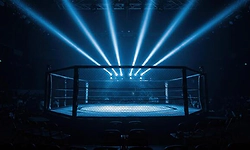 White House to turn into UFC cagefight arena on June 14