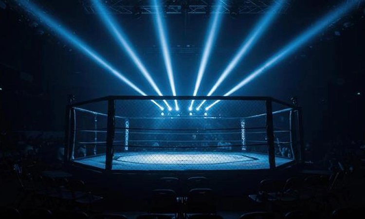 White House to turn into UFC cagefight arena on June 14