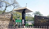 ಹಕ್ಕಿಜ್ವರ ಭೀತಿ: ಮೈಸೂರು ಮೃಗಾಲಯದಲ್ಲಿ ಕಟ್ಟೆಚ್ಚರ