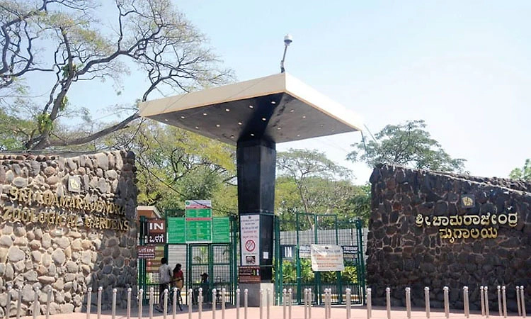 ಹಕ್ಕಿಜ್ವರ ಭೀತಿ: ಮೈಸೂರು ಮೃಗಾಲಯದಲ್ಲಿ ಕಟ್ಟೆಚ್ಚರ