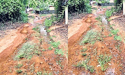 ಮೂರು ತಿಂಗಳಿನಿಂದ ನೀರು ಪೋಲಾಗುತ್ತಿದ್ದರೂ ನಿರ್ಲಕ್ಷ್ಯ