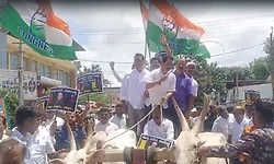 ಇಂಧನ ಬೆಲೆ ಏರಿಕೆ ಖಂಡಿಸಿ ಎತ್ತಿನಗಾಡಿ, ಹಗ್ಗದಿಂದ ಕಾರು ಎಳೆದು ಕಾಂಗ್ರೆಸ್ ಪ್ರತಿಭಟನೆ!