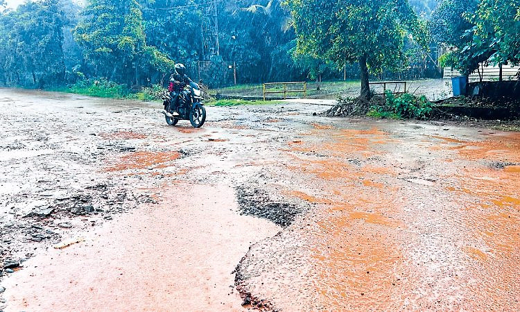 ಕೋಟಿ ಕೋಟಿ ಹೂಡಿಕೆ ಕಂಪೆನಿಗಳ ನಡುವೆ ಹೊಂಡ ಗುಂಡಿಗಳ ರಸ್ತೆ!
