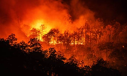 12 die in wildfire in Spain amid soaring temperatures