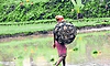 Karkala: ಮಳೆ ಕೊರತೆ: ಬೆಟ್ಟುಗದ್ದೆ ಕೃಷಿಕರಿಗೆ ಕಾಡುತ್ತಿದೆ ಚಿಂತೆ