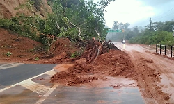 Heavy rain and strong winds lash Sringeri; landslide disrupts traffic
