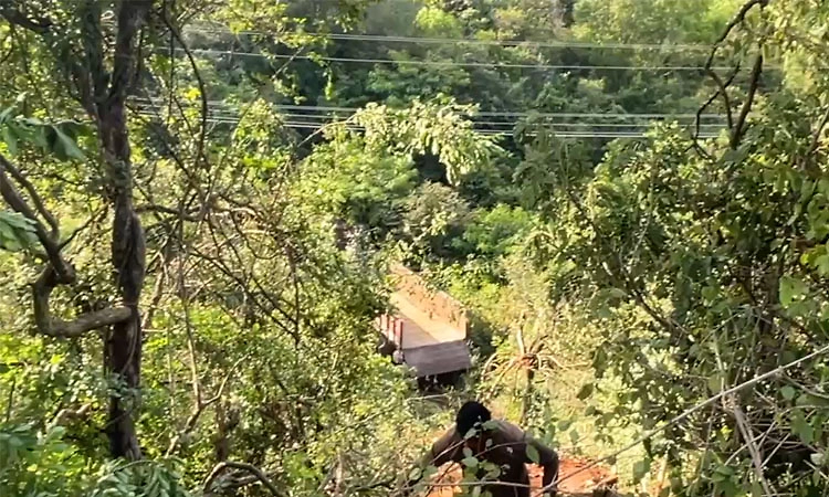ಚಿಕ್ಕಮಗಳೂರು: 100 ಅಡಿ ಪ್ರಪಾತಕ್ಕೆ ಉರುಳಿದ ಲಾರಿ: ಚಾಲಕ, ನಿರ್ವಾಹಕ ಪಾರು!