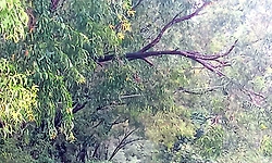 Ajekar: ಮರಣ ಮೃದಂಗ ಬಾರಿಸುವ ಅವಕಾಶ ನೀಡದಿರಿ!