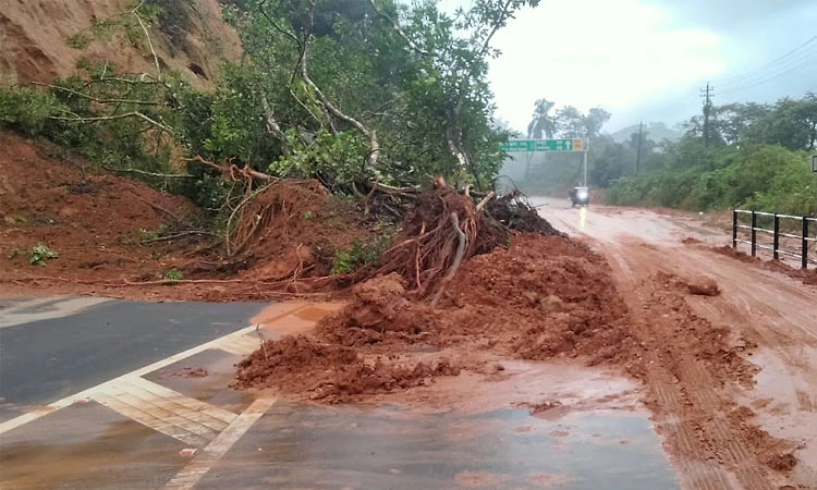ಶೃಂಗೇರಿ ತಾಲೂಕಿನಾದ್ಯಂತ ಗಾಳಿ-ಮಳೆ ಅಬ್ಬರ; ಗುಡ್ಡ ಕುಸಿತ, ವಾಹನ ಸಂಚಾರ  ಅಸ್ತವ್ಯಸ್ತ