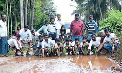 ಕೆಸರು ಗದ್ದೆಯಾದ ರಸ್ತೆ; ಭತ್ತದ ನಾಟಿ ಮಾಡಿ ಗ್ರಾಮಸ್ಥರ ಆಕ್ರೋಶ