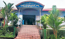 Belve village: ಕಾಲು ಭಾಗದಷ್ಟು ಅರಣ್ಯಕ್ಕೆ ಇಡೀ ಗ್ರಾಮ ಕಳೆದುಕೊಳ್ಳಬೇಕಾದ ಸಂಕಷ್ಟ ಇವರದ್ದು